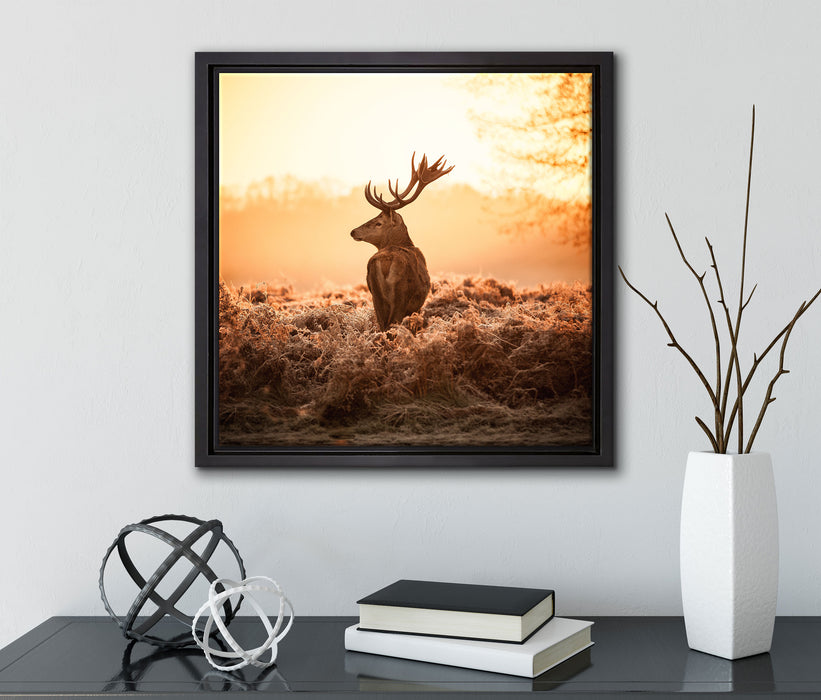 Stolzer Hirsch  auf Leinwandbild Quadratisch gerahmt mit Kirschblüten