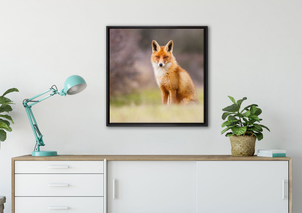 Listiger Fuchs auf Leinwandbild gerahmt Quadratisch verschiedene Größen im Wohnzimmer