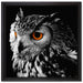 Dark Eule mit orangen Augen auf Leinwandbild Quadratisch gerahmt Größe 40x40