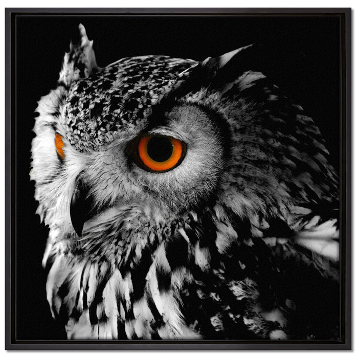 Dark Eule mit orangen Augen auf Leinwandbild Quadratisch gerahmt Größe 70x70
