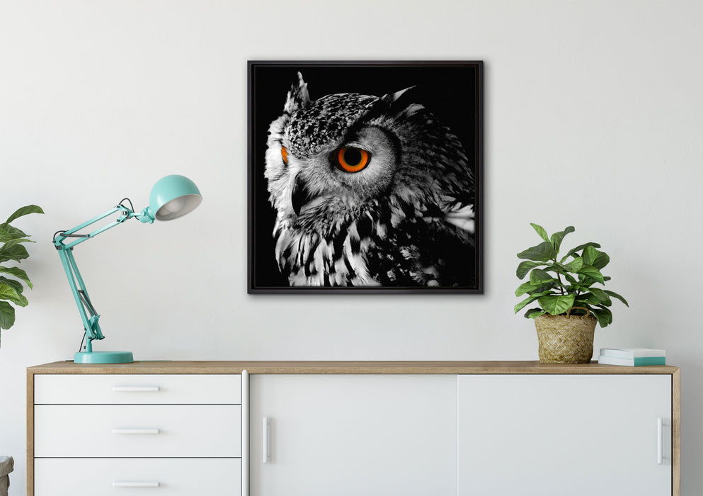 Dark Eule mit orangen Augen auf Leinwandbild gerahmt Quadratisch verschiedene Größen im Wohnzimmer