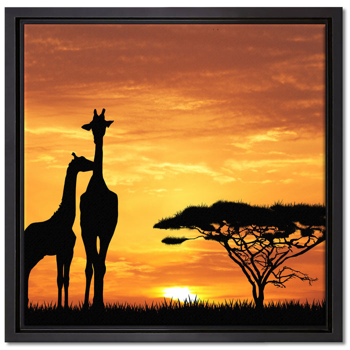 Giraffen im Sonnenuntergang auf Leinwandbild Quadratisch gerahmt Größe 40x40