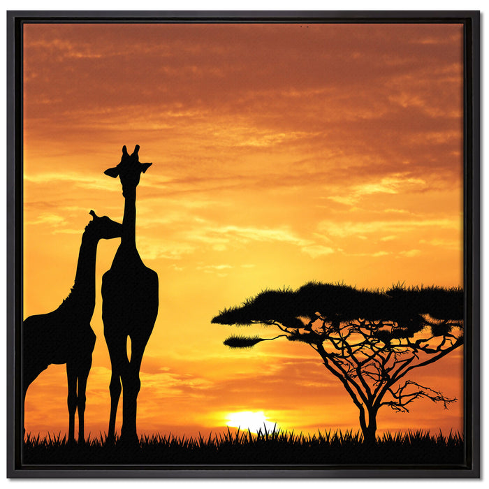 Giraffen im Sonnenuntergang auf Leinwandbild Quadratisch gerahmt Größe 70x70