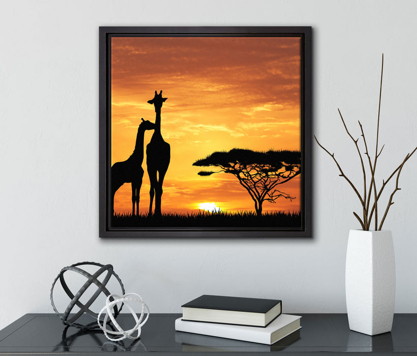 Giraffen im Sonnenuntergang  auf Leinwandbild Quadratisch gerahmt mit Kirschblüten