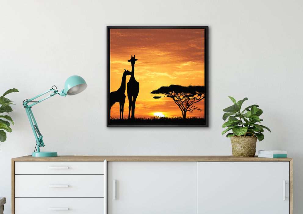 Giraffen im Sonnenuntergang auf Leinwandbild gerahmt Quadratisch verschiedene Größen im Wohnzimmer