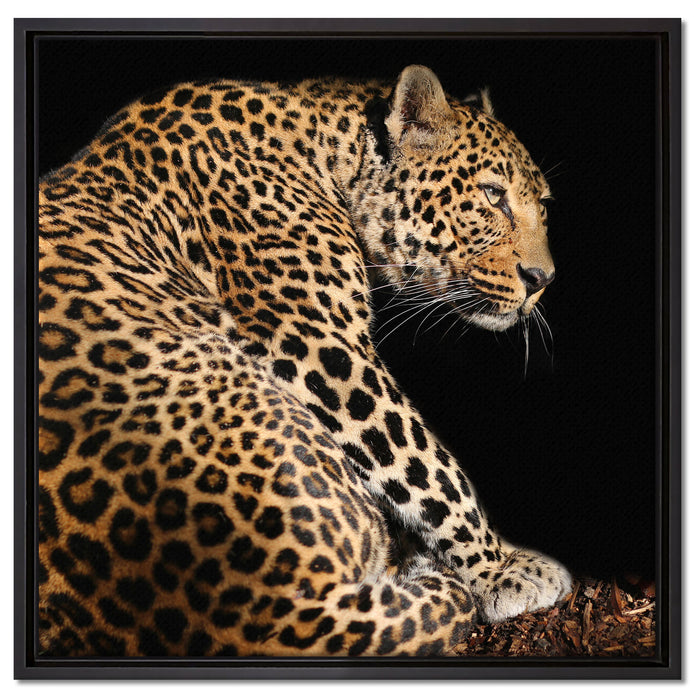 Anmutiger Leopard auf Leinwandbild Quadratisch gerahmt Größe 60x60