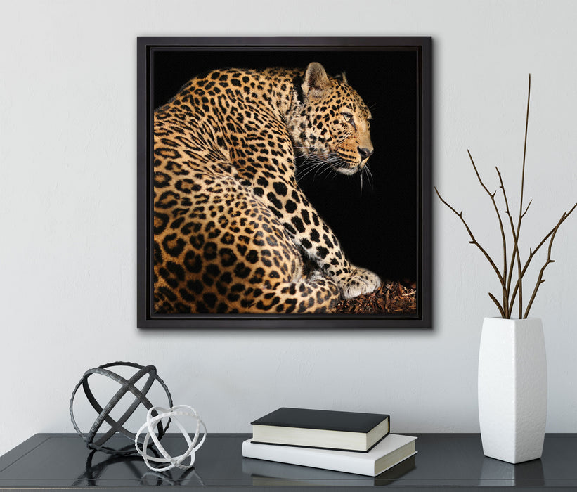 Anmutiger Leopard  auf Leinwandbild Quadratisch gerahmt mit Kirschblüten