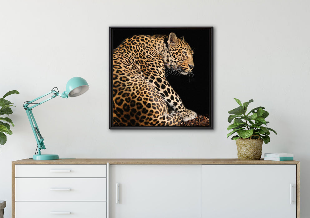 Anmutiger Leopard auf Leinwandbild gerahmt Quadratisch verschiedene Größen im Wohnzimmer
