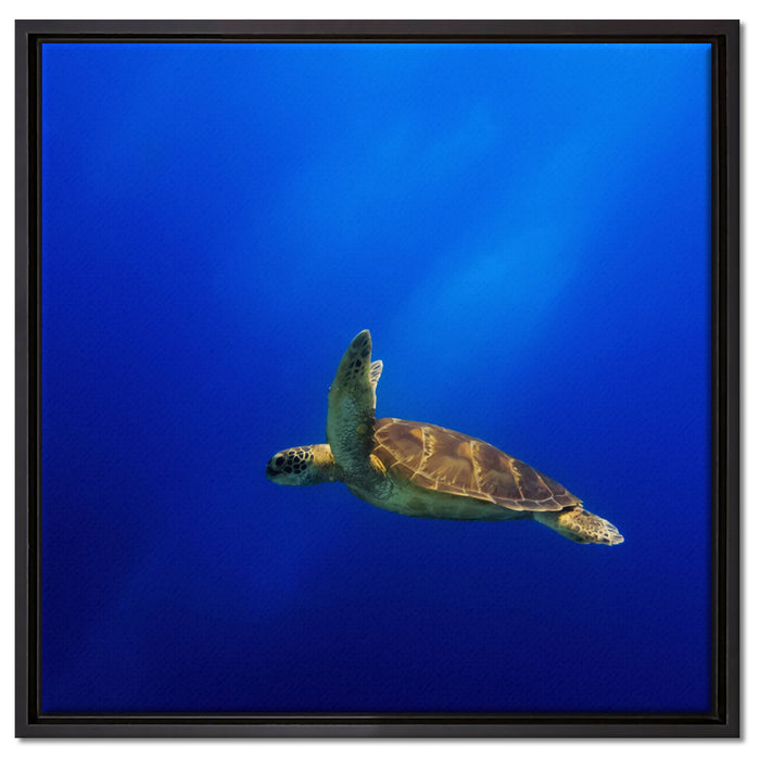 Alte Schildkröte im Meer auf Leinwandbild Quadratisch gerahmt Größe 60x60