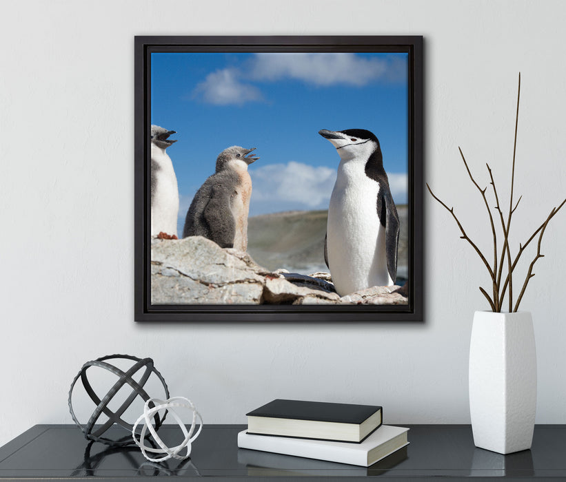 Pinguin mit süßen Küken  auf Leinwandbild Quadratisch gerahmt mit Kirschblüten