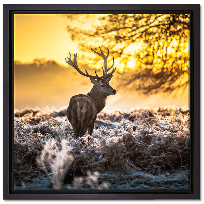 Hirsch im Wald auf Leinwandbild Quadratisch gerahmt Größe 40x40