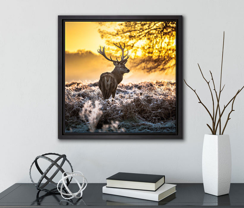 Hirsch im Wald  auf Leinwandbild Quadratisch gerahmt mit Kirschblüten