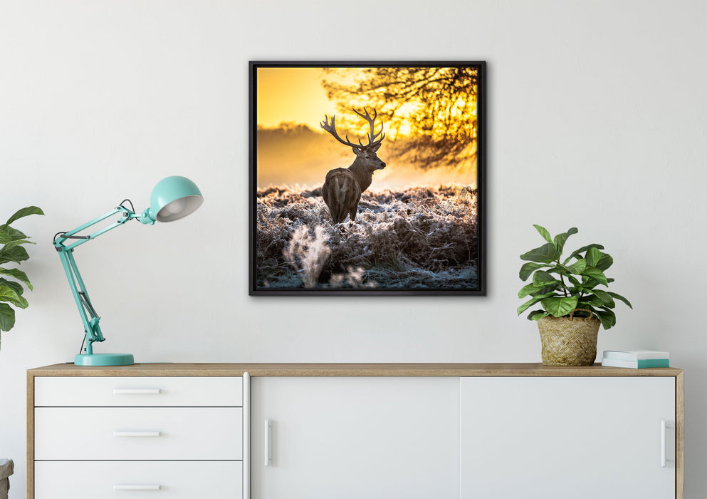 Hirsch im Wald auf Leinwandbild gerahmt Quadratisch verschiedene Größen im Wohnzimmer
