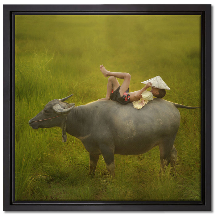 Wasserbüffel trägt Kind auf Leinwandbild Quadratisch gerahmt Größe 40x40