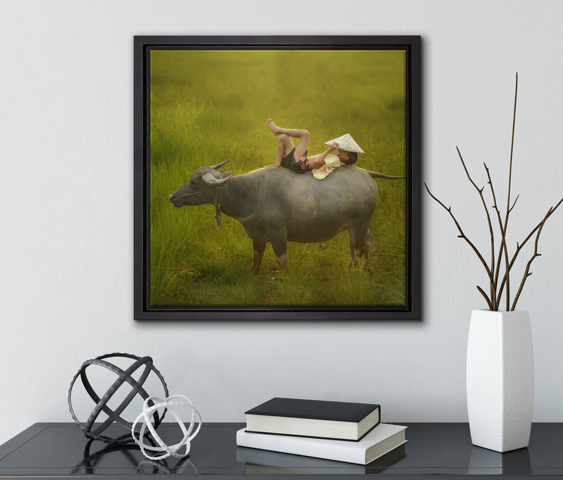 Wasserbüffel trägt Kind  auf Leinwandbild Quadratisch gerahmt mit Kirschblüten