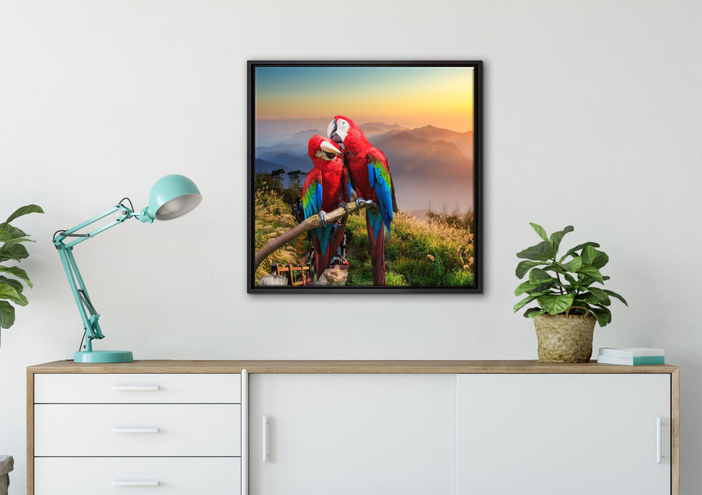 Papageien Pärchen auf Leinwandbild gerahmt Quadratisch verschiedene Größen im Wohnzimmer