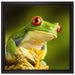 Grüner Rotaugen Frosch auf Leinwandbild Quadratisch gerahmt Größe 40x40