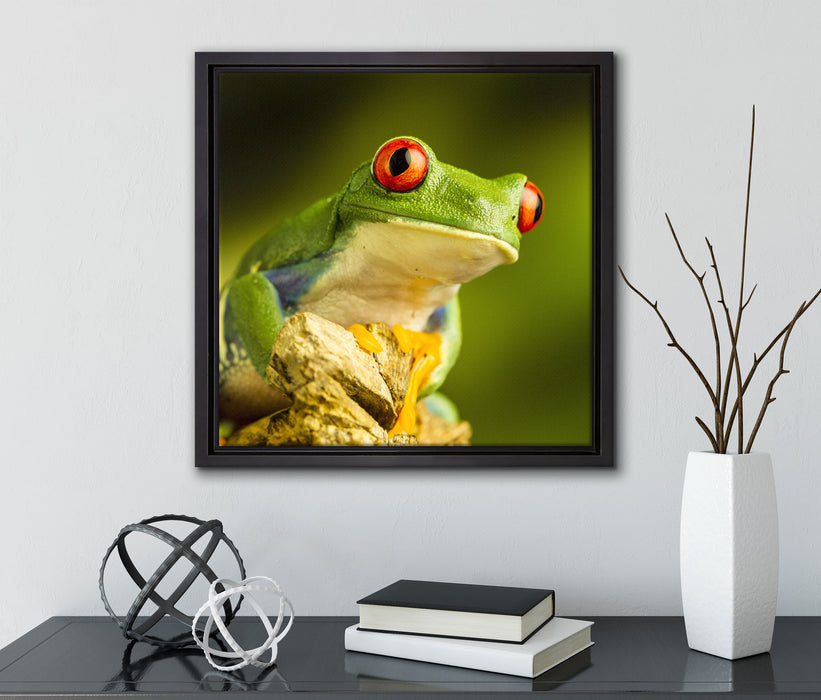 Grüner Rotaugen Frosch  auf Leinwandbild Quadratisch gerahmt mit Kirschblüten