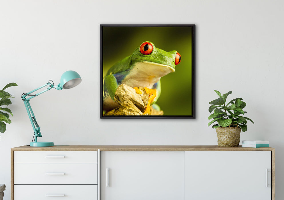 Grüner Rotaugen Frosch auf Leinwandbild gerahmt Quadratisch verschiedene Größen im Wohnzimmer