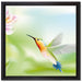 Wunderschöner Kolibri mit Blüte auf Leinwandbild Quadratisch gerahmt Größe 40x40
