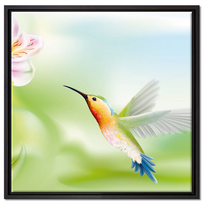 Wunderschöner Kolibri mit Blüte auf Leinwandbild Quadratisch gerahmt Größe 60x60