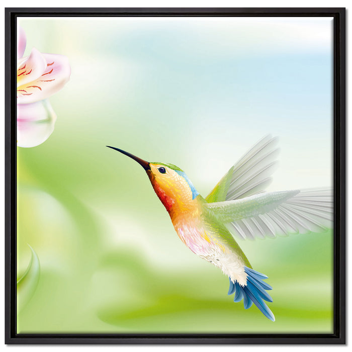 Wunderschöner Kolibri mit Blüte auf Leinwandbild Quadratisch gerahmt Größe 70x70
