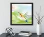 Wunderschöner Kolibri mit Blüte  auf Leinwandbild Quadratisch gerahmt mit Kirschblüten