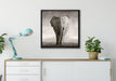 Einsamer Elefant auf Leinwandbild gerahmt Quadratisch verschiedene Größen im Wohnzimmer
