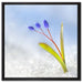 Blaue Knospen im Schnee auf Leinwandbild Quadratisch gerahmt Größe 60x60