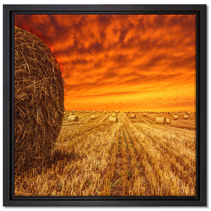 Feld im Sonnenuntergang auf Leinwandbild Quadratisch gerahmt Größe 40x40