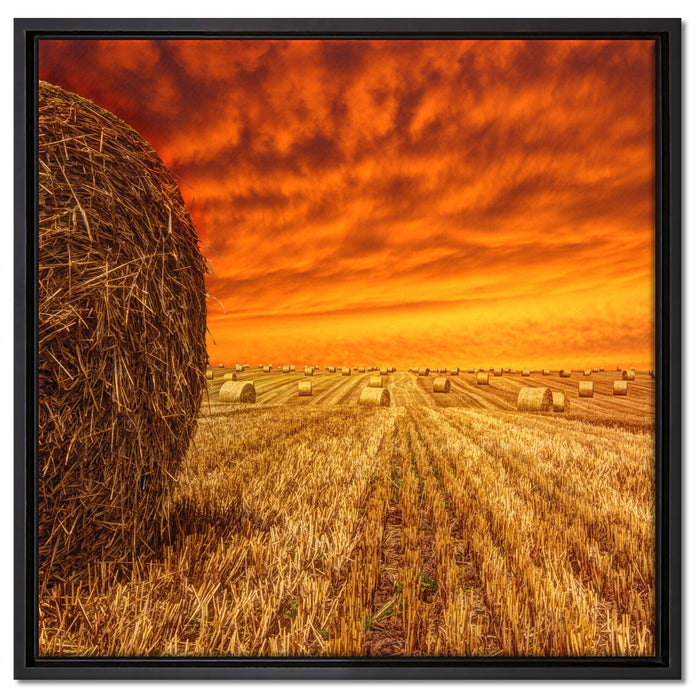 Feld im Sonnenuntergang auf Leinwandbild Quadratisch gerahmt Größe 60x60
