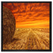 Feld im Sonnenuntergang auf Leinwandbild Quadratisch gerahmt Größe 60x60