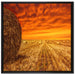 Feld im Sonnenuntergang auf Leinwandbild Quadratisch gerahmt Größe 70x70