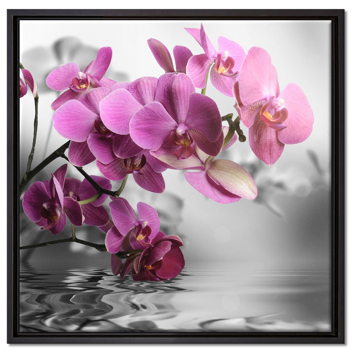 Orchideenblüten über Wasser auf Leinwandbild Quadratisch gerahmt Größe 60x60