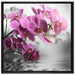 Orchideenblüten über Wasser auf Leinwandbild Quadratisch gerahmt Größe 70x70