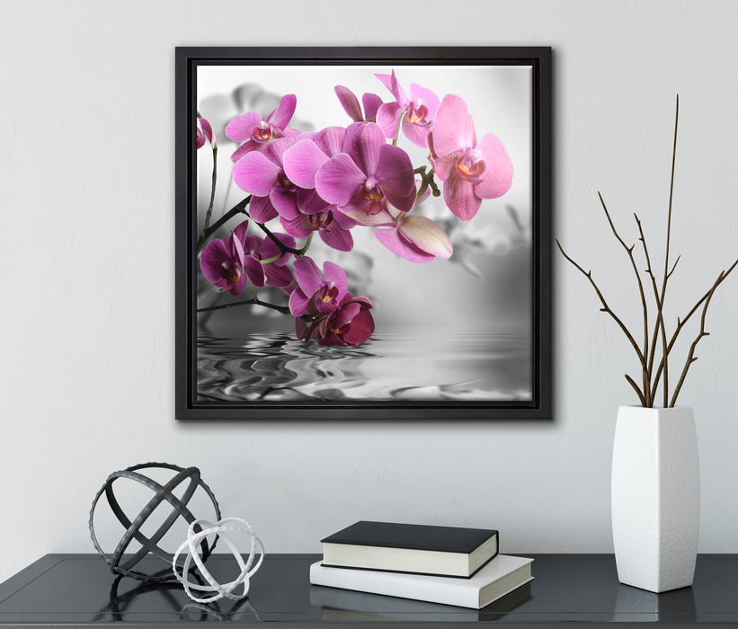 Orchideenblüten über Wasser  auf Leinwandbild Quadratisch gerahmt mit Kirschblüten