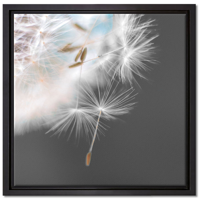 hübsche Pusteblume auf Leinwandbild Quadratisch gerahmt Größe 40x40