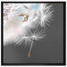 hübsche Pusteblume auf Leinwandbild Quadratisch gerahmt Größe 70x70