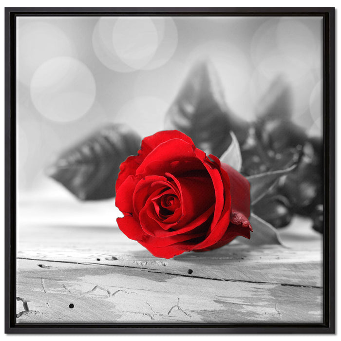 Rose auf Holztisch auf Leinwandbild Quadratisch gerahmt Größe 70x70