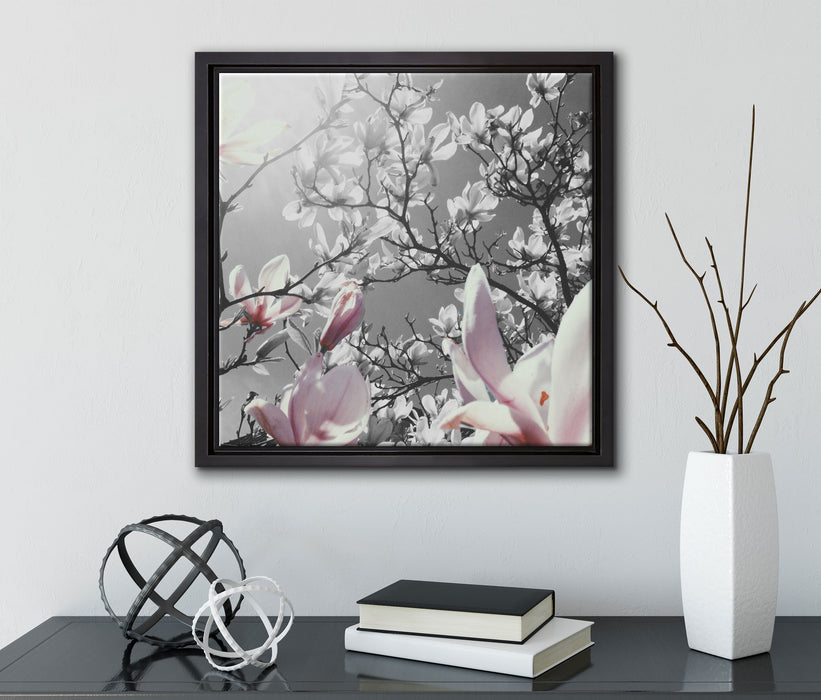 schöne Magnolie Blüten  auf Leinwandbild Quadratisch gerahmt mit Kirschblüten