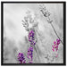 schöner Lavendel auf Leinwandbild Quadratisch gerahmt Größe 70x70
