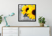 schöne Sonnenblumen auf Holztisch auf Leinwandbild gerahmt Quadratisch verschiedene Größen im Wohnzimmer