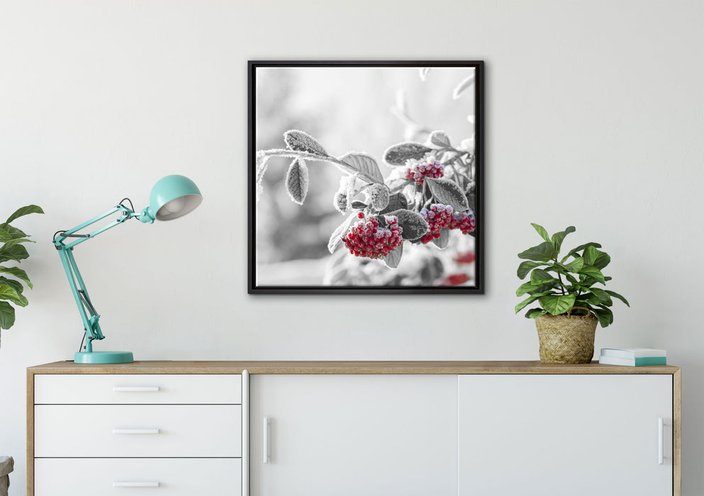 Vogelbeeren im frostigen Winter auf Leinwandbild gerahmt Quadratisch verschiedene Größen im Wohnzimmer