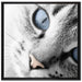 schöne Katzenaugen auf Leinwandbild Quadratisch gerahmt Größe 70x70