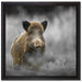 einsames Wildschwein im Wald auf Leinwandbild Quadratisch gerahmt Größe 40x40