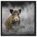 einsames Wildschwein im Wald auf Leinwandbild Quadratisch gerahmt Größe 60x60