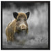 einsames Wildschwein im Wald auf Leinwandbild Quadratisch gerahmt Größe 70x70