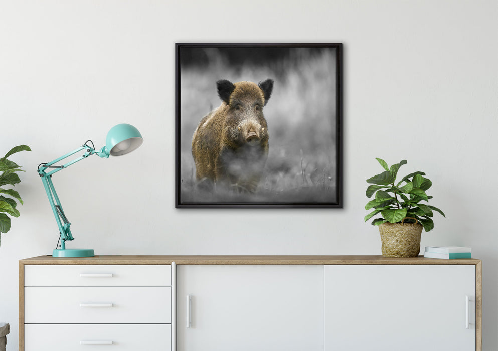 einsames Wildschwein im Wald auf Leinwandbild gerahmt Quadratisch verschiedene Größen im Wohnzimmer