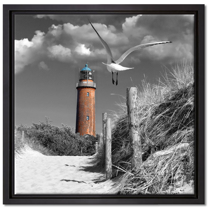 Leuchtturm mit Möwe an Strandweg auf Leinwandbild Quadratisch gerahmt Größe 40x40