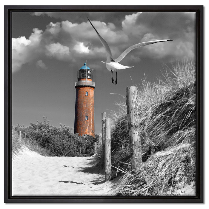 Leuchtturm mit Möwe an Strandweg auf Leinwandbild Quadratisch gerahmt Größe 60x60